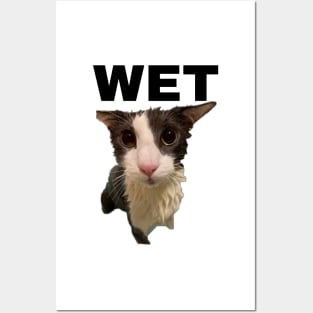 Soggy Cat Wet Posters and Art